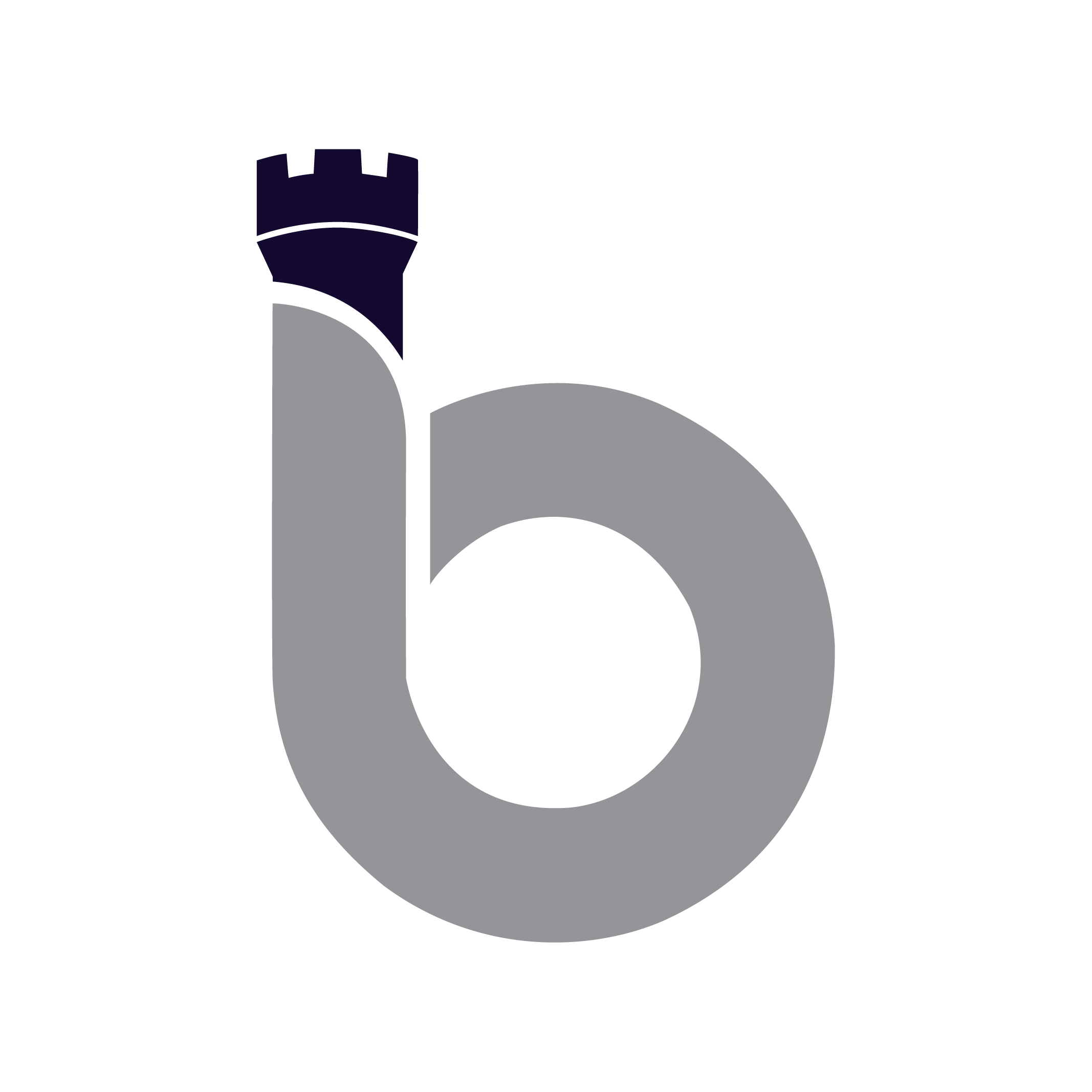 Bastion Aviation