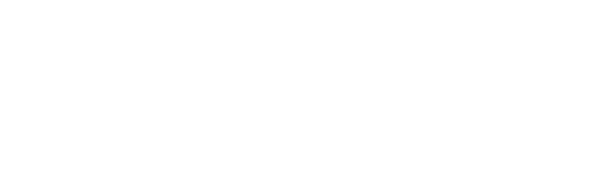 Bastion Aviation