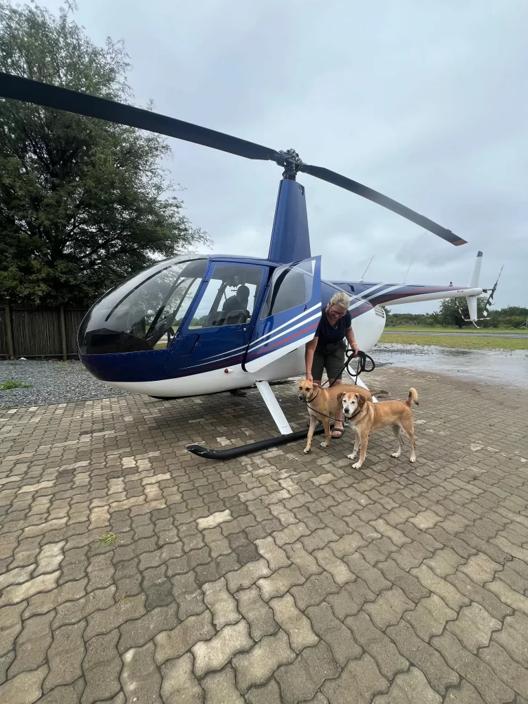 Bastion Aviation: Rising Above the Floods in Hoedspruit & Greater Kruger