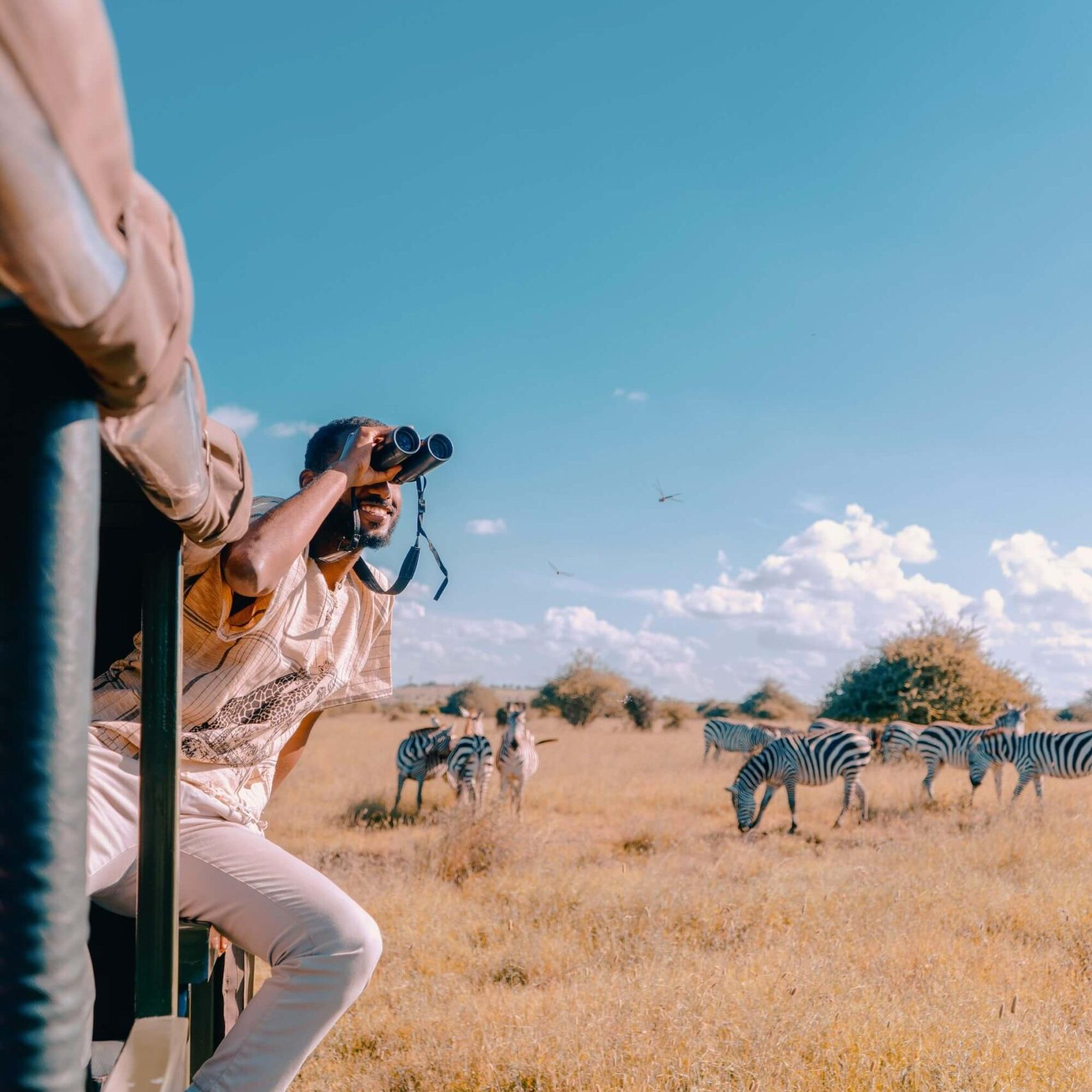 How to Plan a Luxury Safari Itinerary with Private Flights in Southern Africa